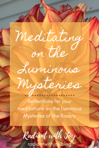 Meditating on the Luminous Mysteries: Reflections for your meditations on the Luminous Mysteries of the Rosary