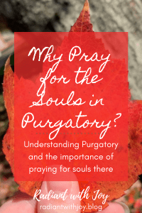 Why Pray for the Souls in Purgatory