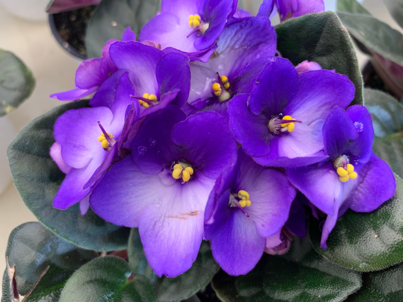 Praying for Patience