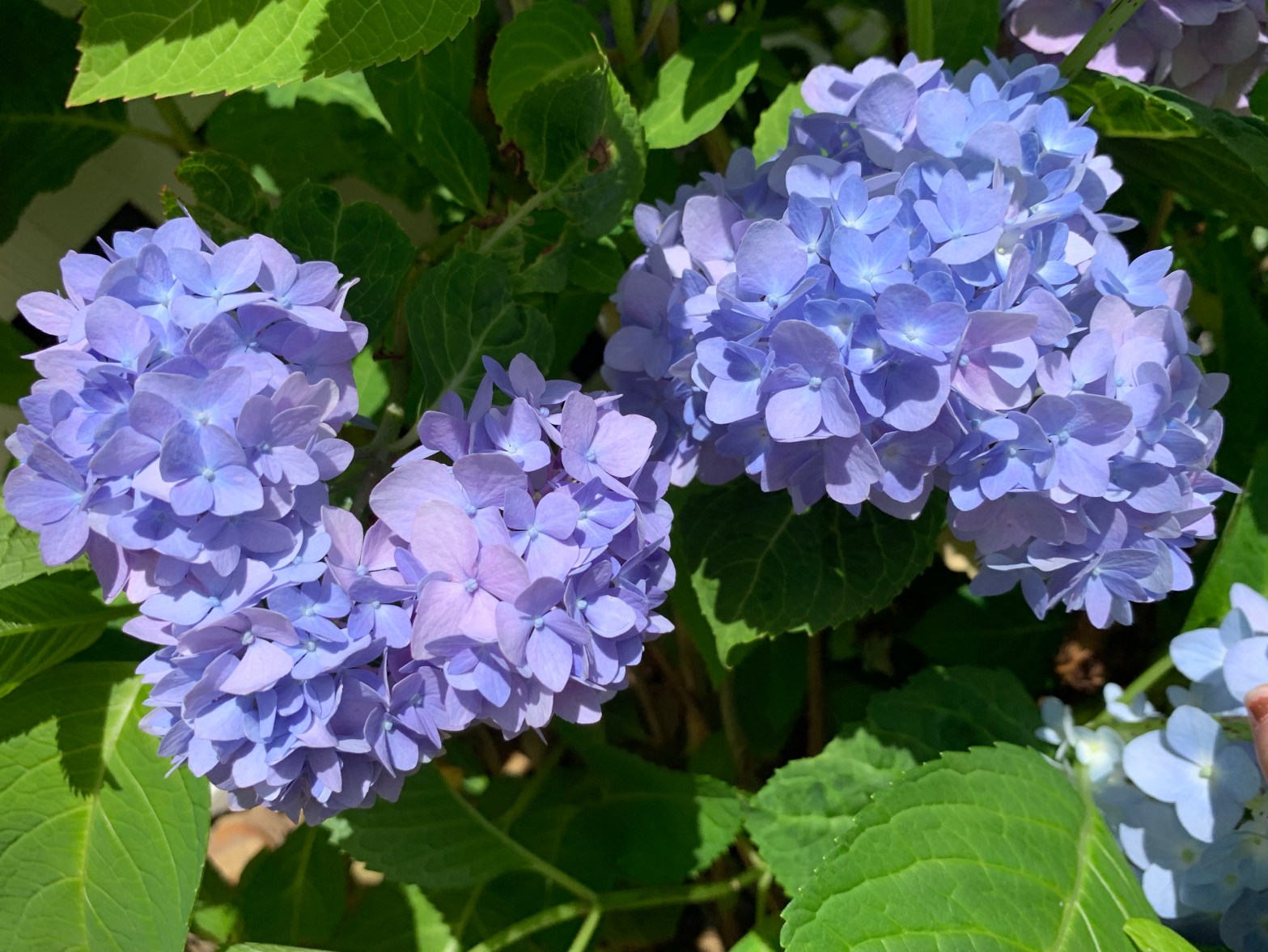 Happy Birthday, Mary!