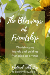 The Blessings of Friendship