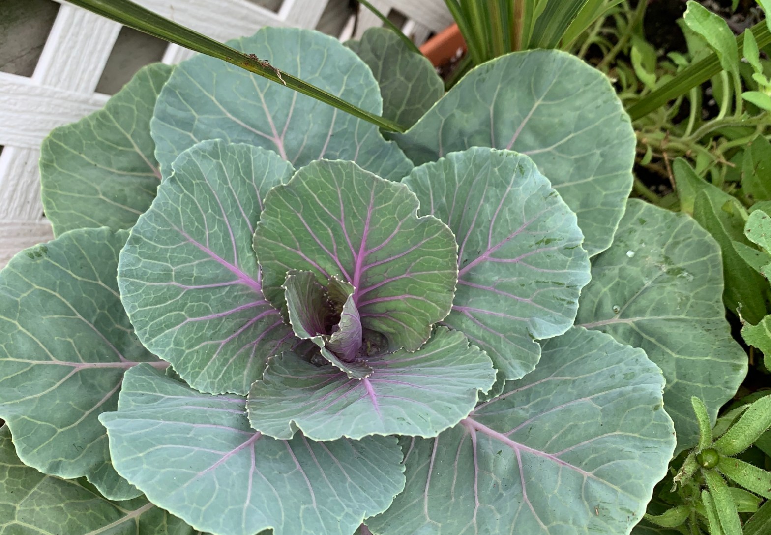 8 Ways to Pray Throughout Your Day