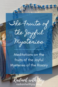 The Fruits of the Joyful Mysteries