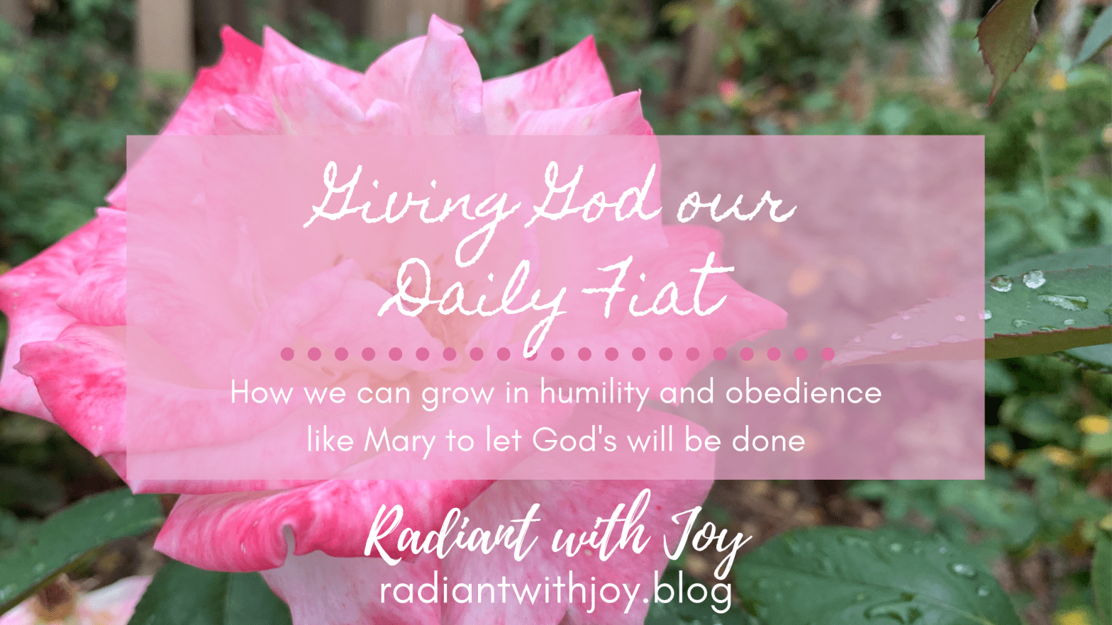 Giving God our Daily Fiat