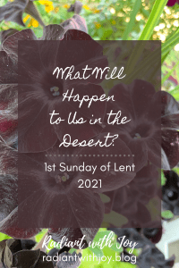 What Will Happen to Us in the Desert?