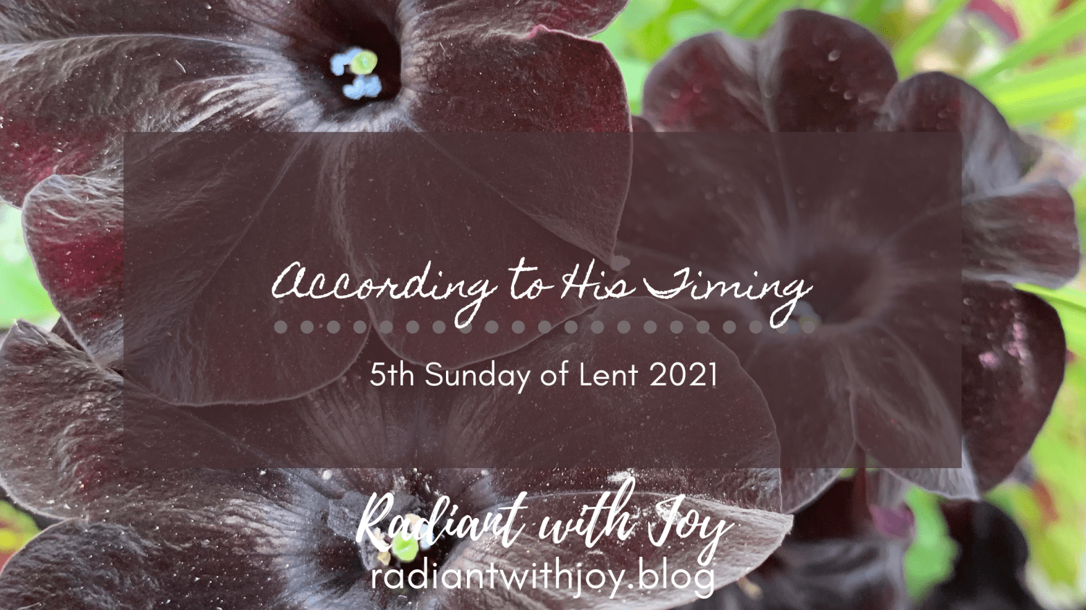 According to His Timing