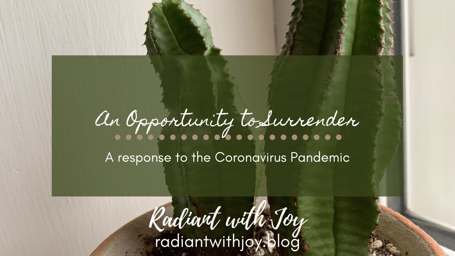 An Opportunity to Surrender