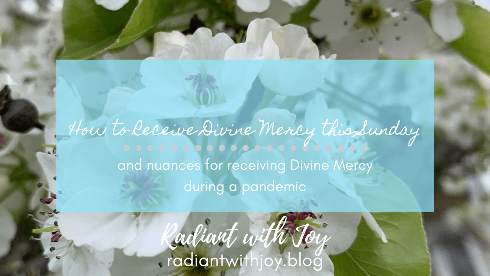 How to Receive Divine Mercy this Sunday