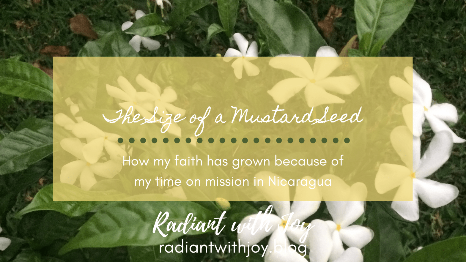 The Size of a Mustard Seed