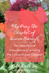 Why Pray the Chaplet of Divine Mercy
